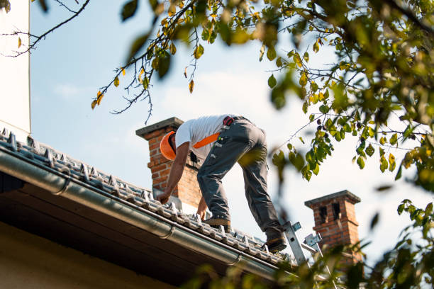 Best Roof Gutter Cleaning  in Muscoy, CA